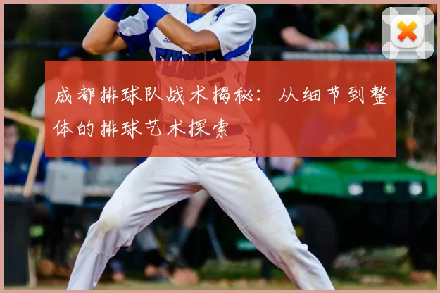 成都排球队战术揭秘：从细节到整体的排球艺术探索
