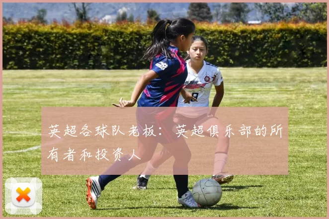 英超各球队老板：英超俱乐部的所有者和投资人