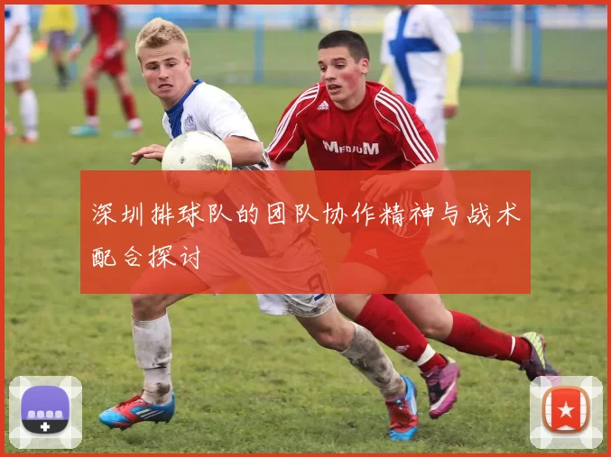深圳排球队的团队协作精神与战术配合探讨