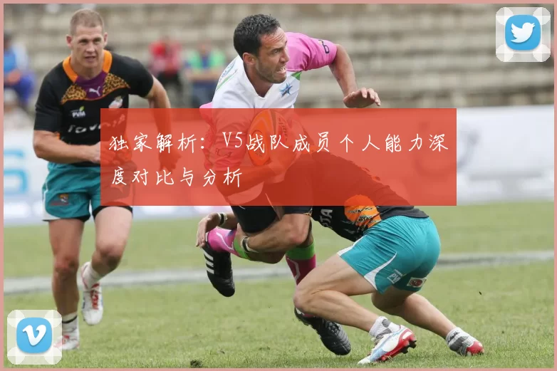 独家解析:V5战队成员个人能力深度对比与分析