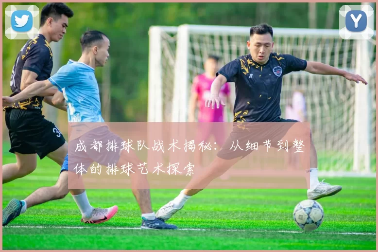成都排球队战术揭秘:从细节到整体的排球艺术探索