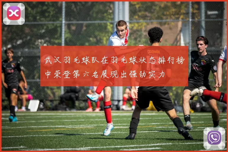 武汉羽毛球队在羽毛球状态排行榜中荣登第六名展现出强劲实力
