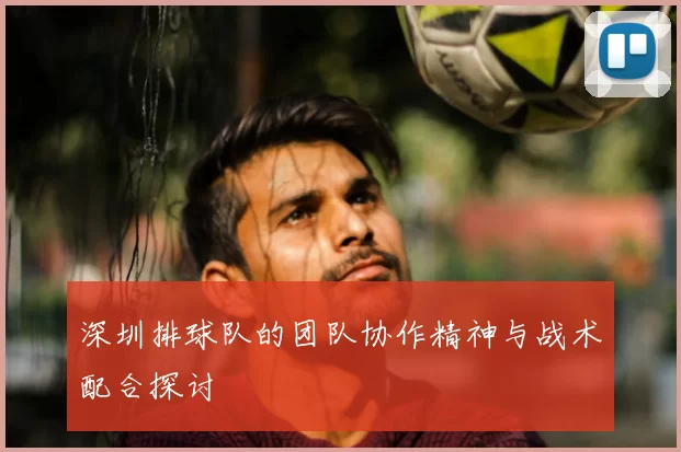深圳排球队的团队协作精神与战术配合探讨