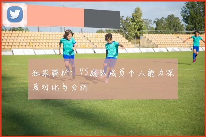 独家解析:V5战队成员个人能力深度对比与分析