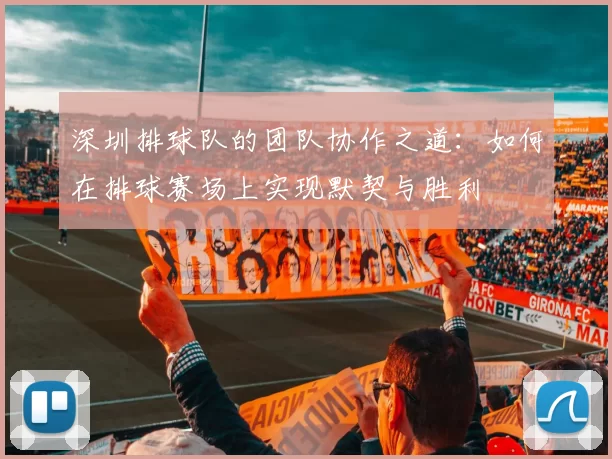 深圳排球队的团队协作之道：如何在排球赛场上实现默契与胜利