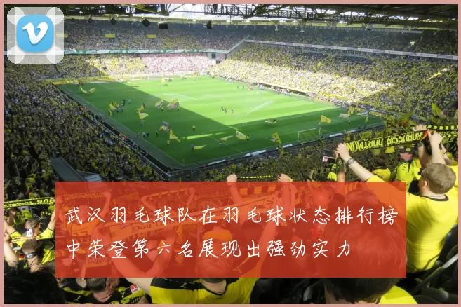 武汉羽毛球队在羽毛球状态排行榜中荣登第六名展现出强劲实力