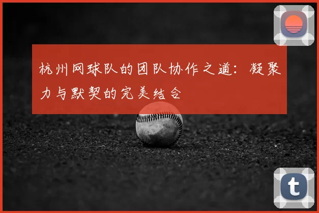 杭州网球队的团队协作之道：凝聚力与默契的完美结合