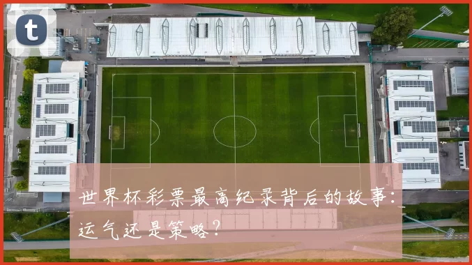 世界杯彩票最高纪录背后的故事:运气还是策略?