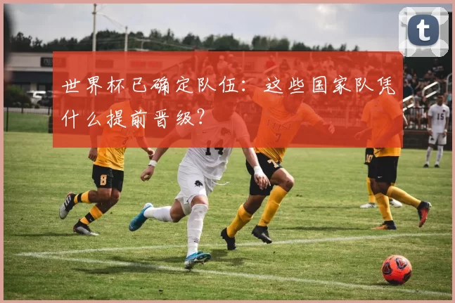 世界杯已确定队伍：这些国家队凭什么提前晋级？