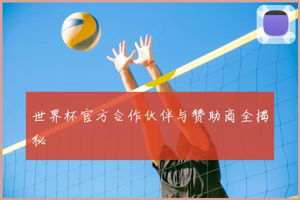 世界杯官方合作伙伴与赞助商全揭秘