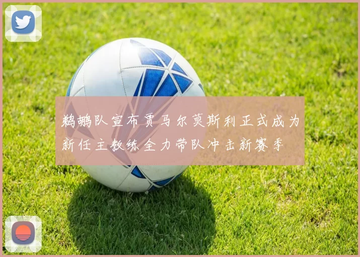 鹈鹕队宣布贾马尔莫斯利正式成为新任主教练全力带队冲击新赛季