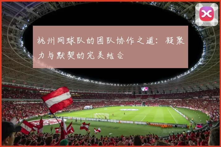 杭州网球队的团队协作之道：凝聚力与默契的完美结合