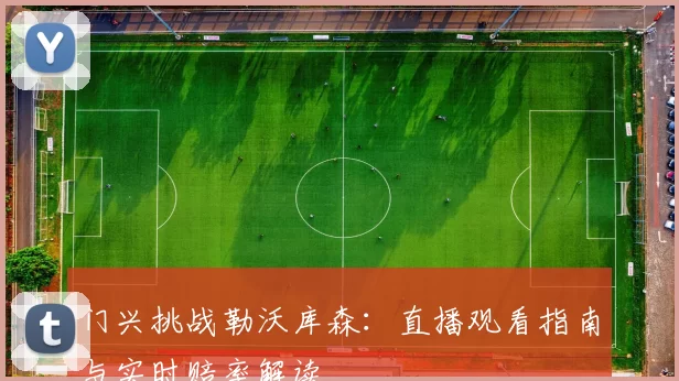 门兴挑战勒沃库森：直播观看指南与实时赔率解读